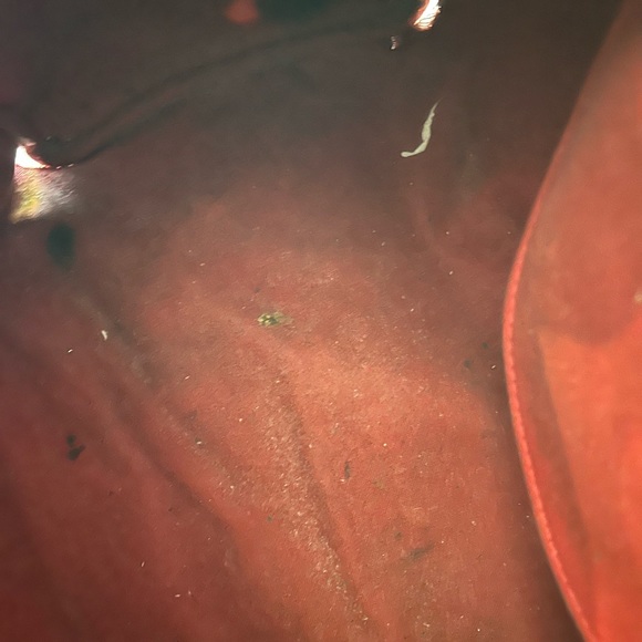 Louis Vuitton bags - Picture 6 of 13